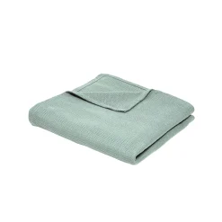 Plaid<Blancheporte Bankdeken of plaid uni honingraat - katoen celadon