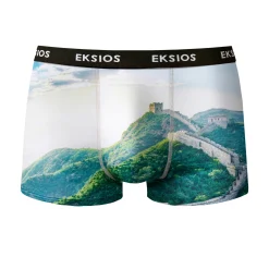 Ondergoed<Blancheporte Bedrukte shorty in rekbare microvezel - set van 2 groen