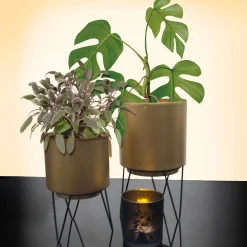 Decoratieartikel<Blancheporte Bloempot op poten - set van 2 goudkleurig