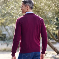 Trui En Vest<Blancheporte Effen trui met ronde hals bordeaux