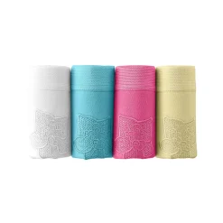 Slip En Shorty<Blancheporte Geborduurde maxislip - set van 4 zuurtjeskleuren