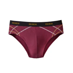 Ondergoed<Blancheporte Gesloten slip met hoge taille - set van 6 bordeaux + groen