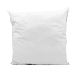 Hoofdkussen<Blancheporte Hoofdkussen Evolon® antihuisstofmijt en -bedwantsen, wassen op 95° wit