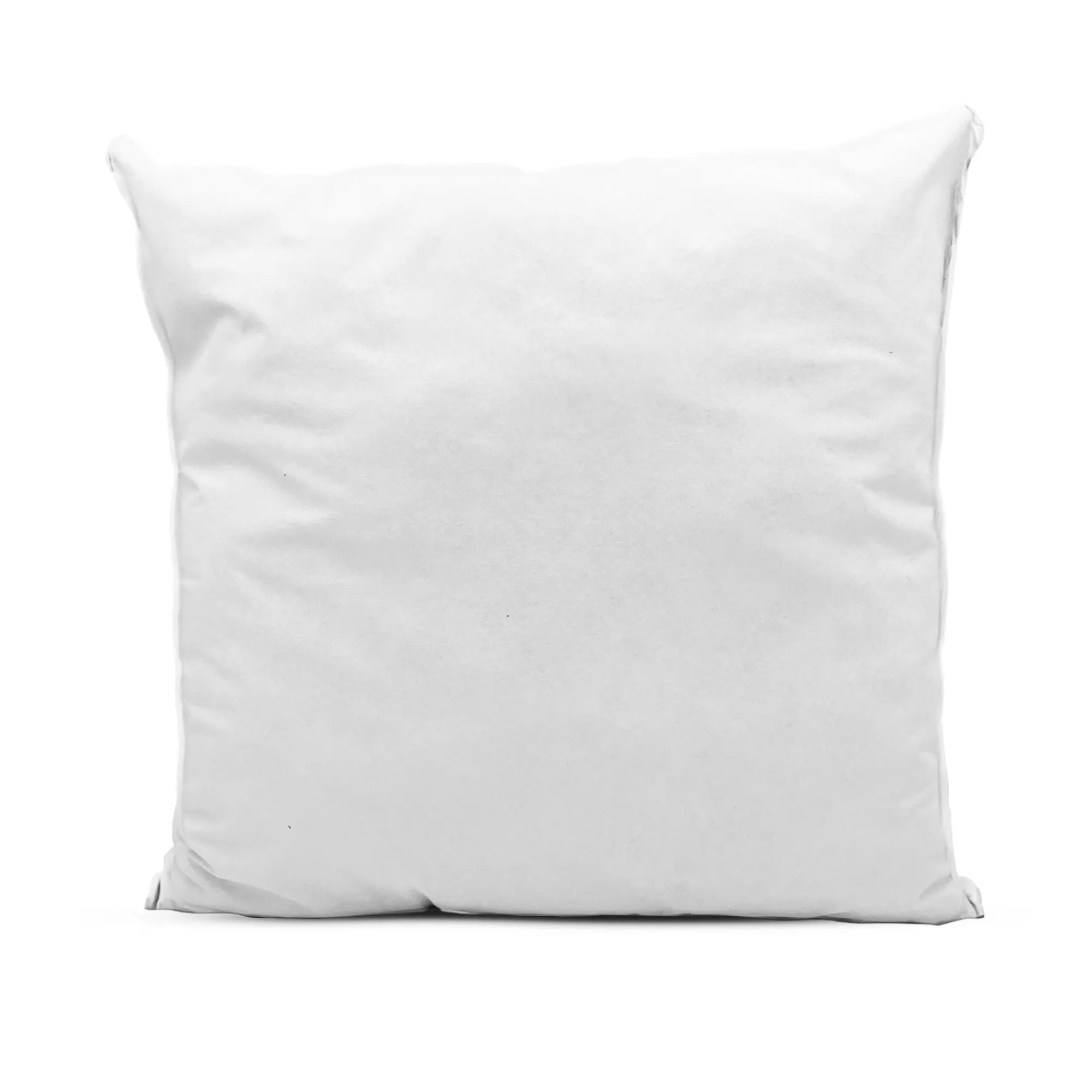 Hoofdkussen<Blancheporte Hoofdkussen Evolon® antihuisstofmijt en -bedwantsen, wassen op 95° wit