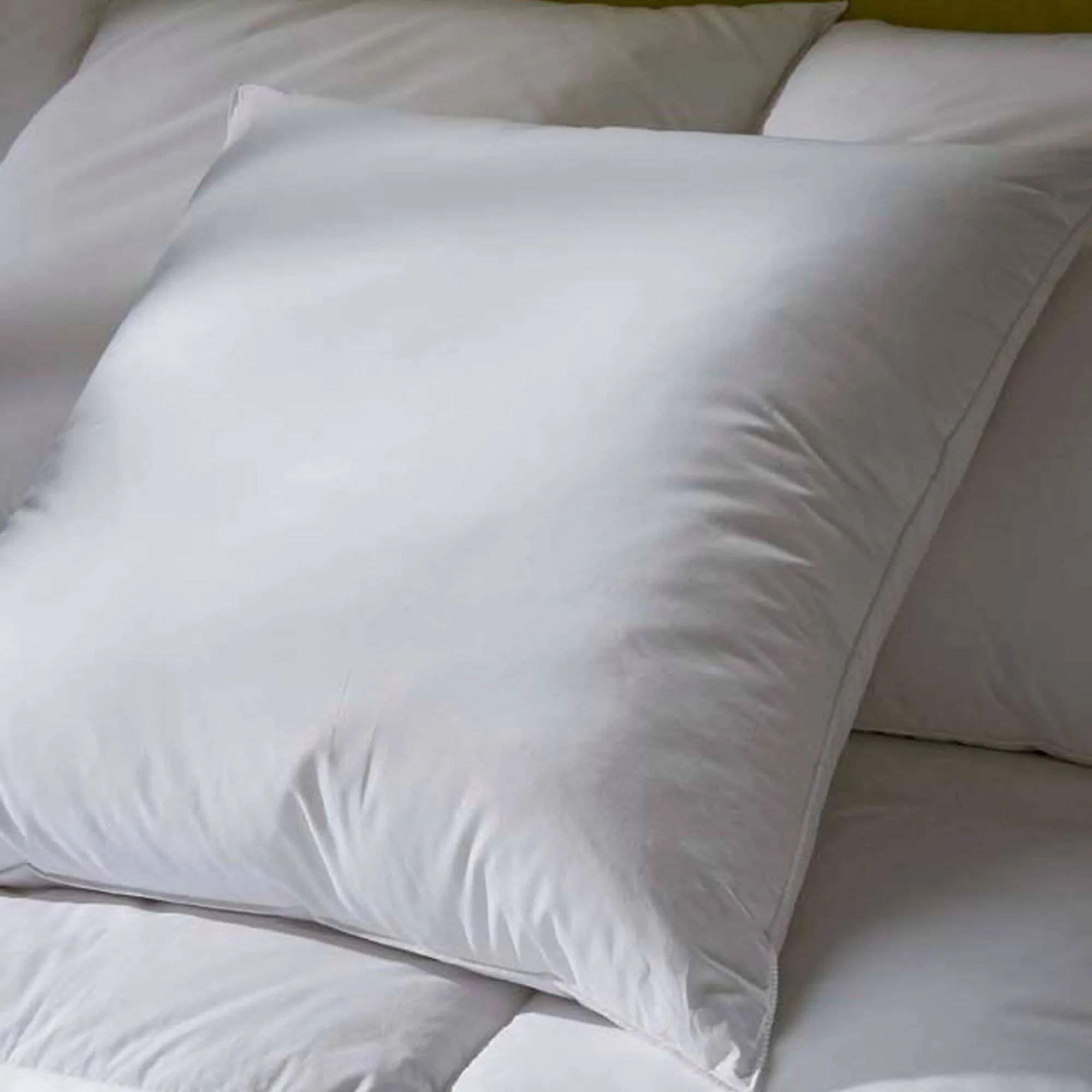Hoofdkussen<Blancheporte Hoofdkussen in dons en veren met tijk in vlekkenwerend katoen - 800 g wit