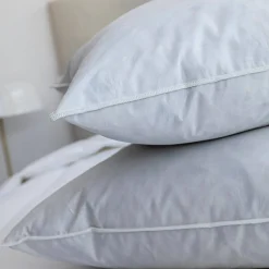 Hoofdkussen<Blancheporte Hoofdkussen met pluimpjes, per set van 2 wit