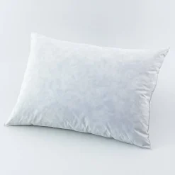 Hoofdkussen<Blancheporte Hoofdkussen met pluimpjes, per set van 2 wit
