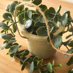 Decoratieartikel<Blancheporte Kunstplant en hangpot naturel