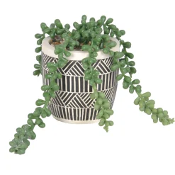 Decoratieartikel<Blancheporte Kunstplant en pot in cement zwart / wit