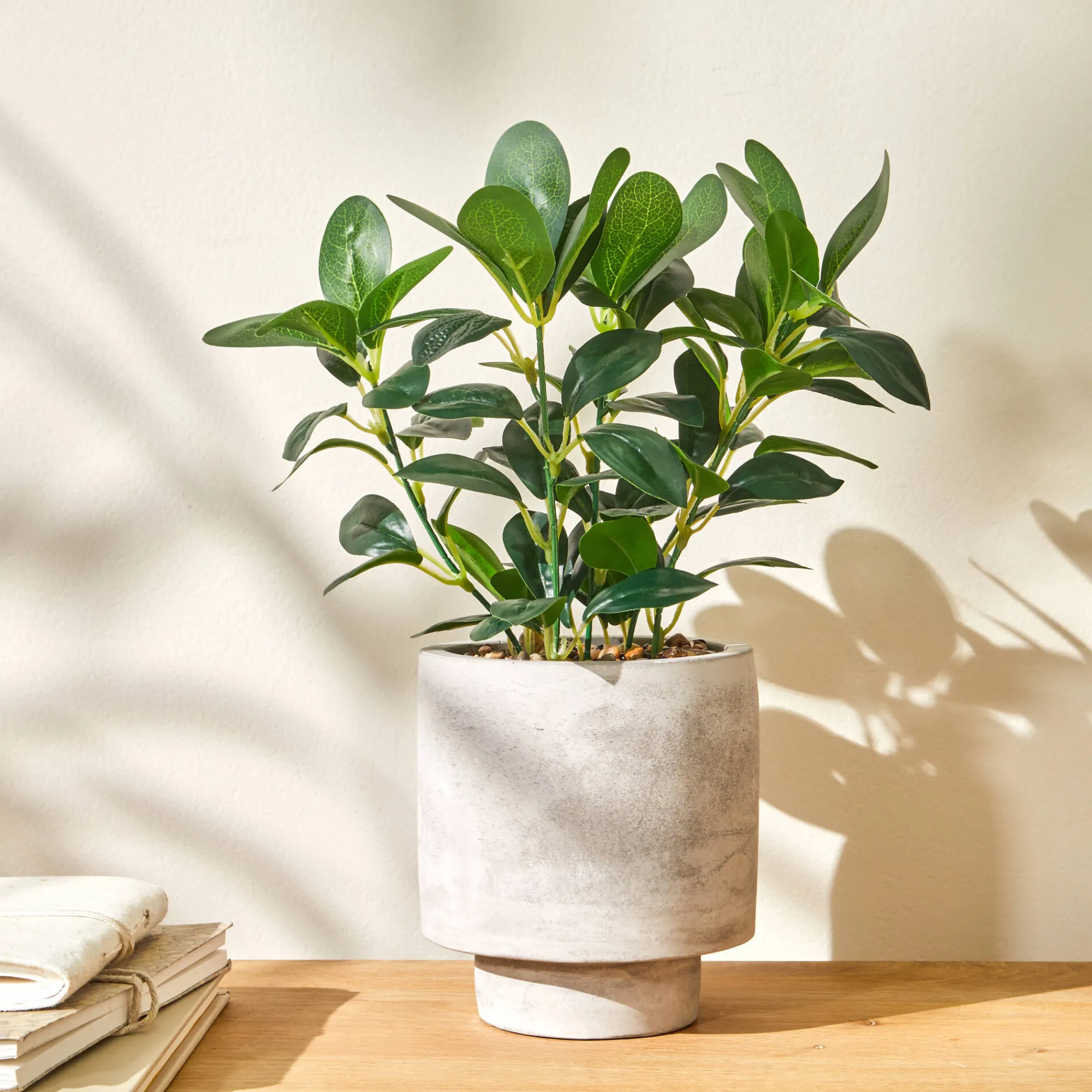Decoratieartikel<Blancheporte Kunstplant in pot grijs