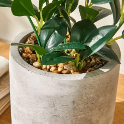Decoratieartikel<Blancheporte Kunstplant in pot grijs