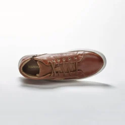 Schoenen|Schoenen Heren<Blancheporte Leren sneakers met hoge schacht, met veters en rits bruin