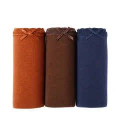 Slip En Shorty<Blancheporte Maxislip in stretchkatoen - set van 3 karamel + chocolade + marine