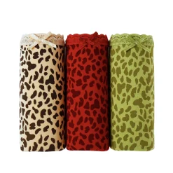 Slip En Shorty<Blancheporte Maxislip in stretchkatoen - set van 3 bordeaux + bruin + groen