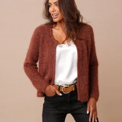 Trui En Vest<Blancheporte Paletotvest in zacht fantasietricot chocolade