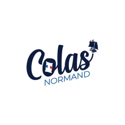 Peluwkussen<Colas Normand Peluwkussen in katoen met microgel, stevig wit