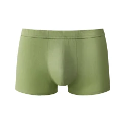Ondergoed<Blancheporte Shorty in 100% katoen - set van 4 groen + rood + grijs