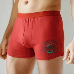 Ondergoed<Blancheporte Shorty in katoen met geplaatste print - set van 2 roestbruin