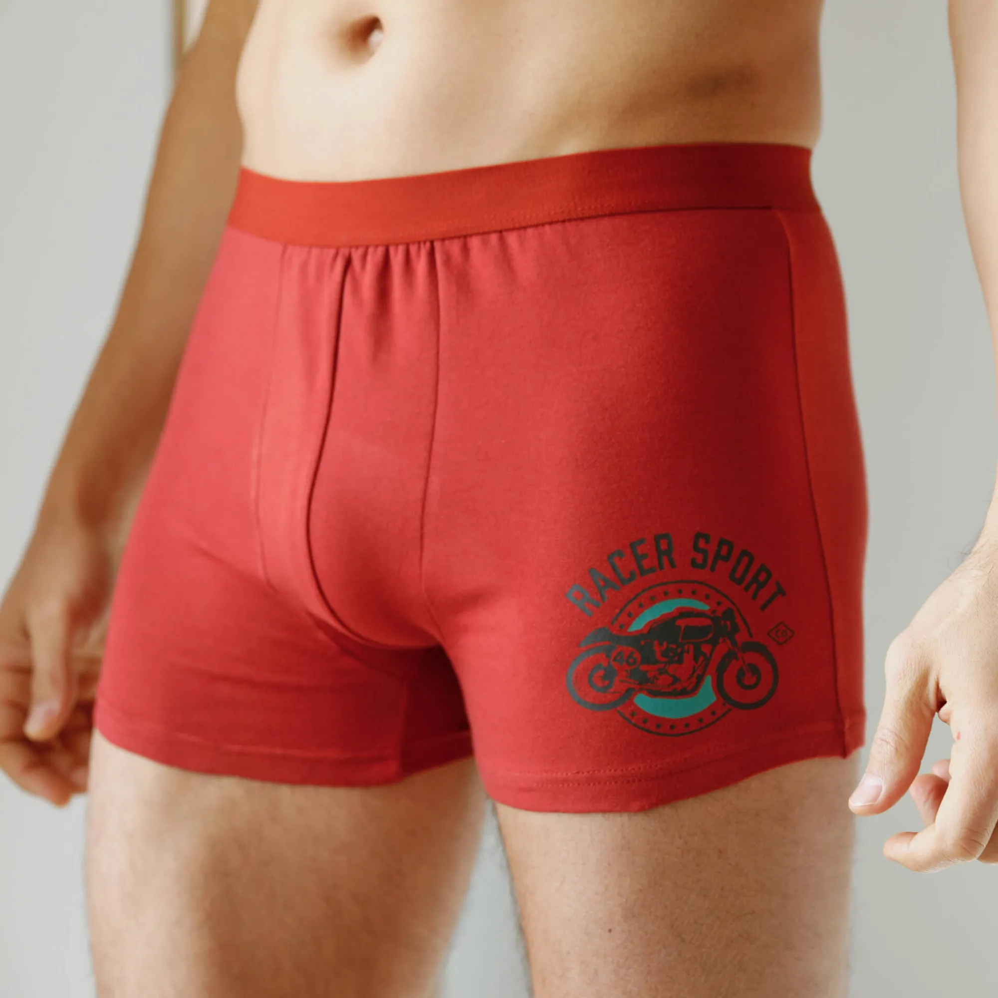 Ondergoed<Blancheporte Shorty in katoen met geplaatste print - set van 2 roestbruin