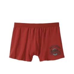 Ondergoed<Blancheporte Shorty in katoen met geplaatste print - set van 2 roestbruin