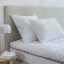 Hoofdkussen<EDONA Stevig hoofdkussen met hotelkwaliteit wit
