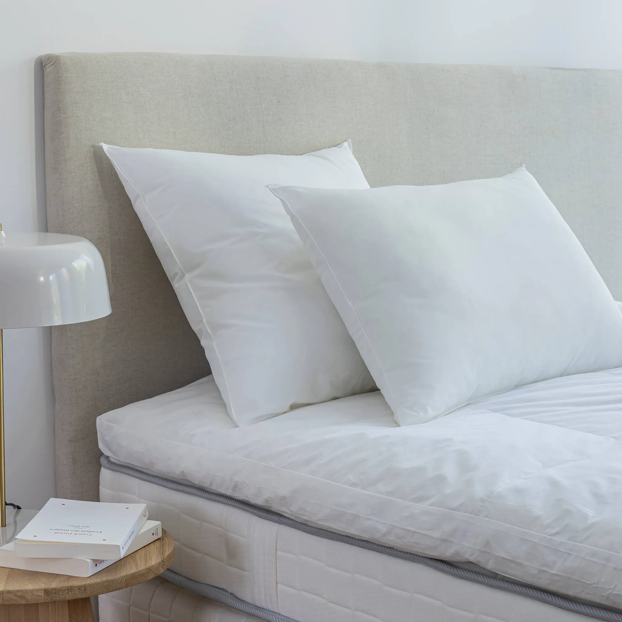 Hoofdkussen<EDONA Stevig hoofdkussen met hotelkwaliteit wit