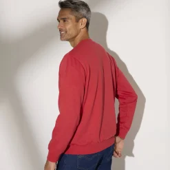 Sweater|Trui En Vest<Blancheporte Sweater in molton met ronde hals grijzig koraal