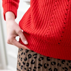 Trui En Vest<Blancheporte Trui in patenttricot met ronde hals, details met ajour rood