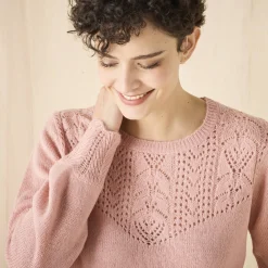 Trui En Vest<Blancheporte Trui met details in pointelletricot grijsroze