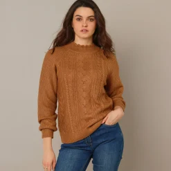 Trui En Vest<Blancheporte Trui met hoge kraag, Engelse steek, zacht aanvoelend hazelnootbruin