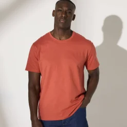 T-Shirt, Hemd En Polo<Blancheporte T-shirt met ronde hals en korte mouwen - set van 3 koraal + saliegroen + kaki