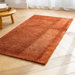 Tapijt<Blancheporte Zacht en comfortabel tapijtje terracotta
